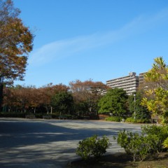 稲毛海岸公園