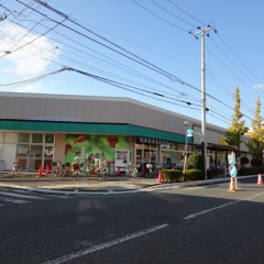 いなげや江戸川春江店