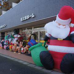 今年も金太郎にもクリスマスがやってきました♪